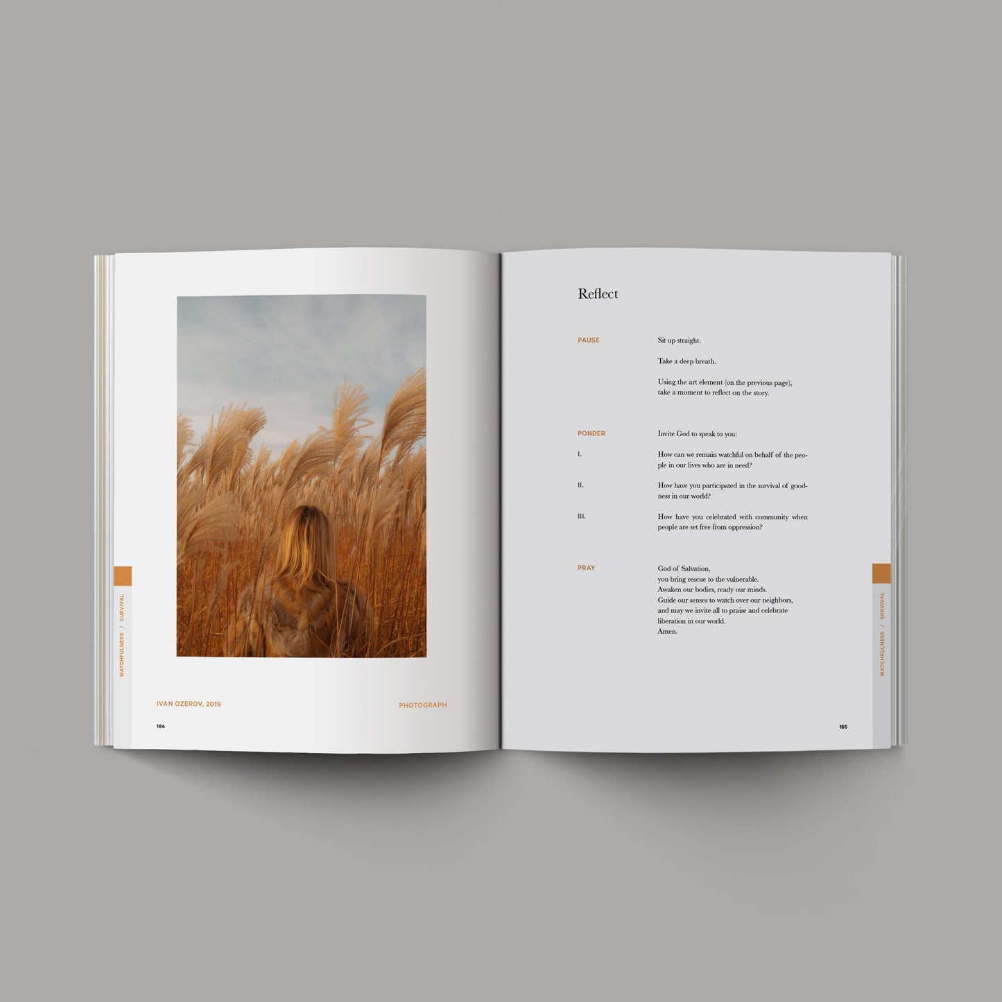 Good and Beautiful Bible Study - Vol 1